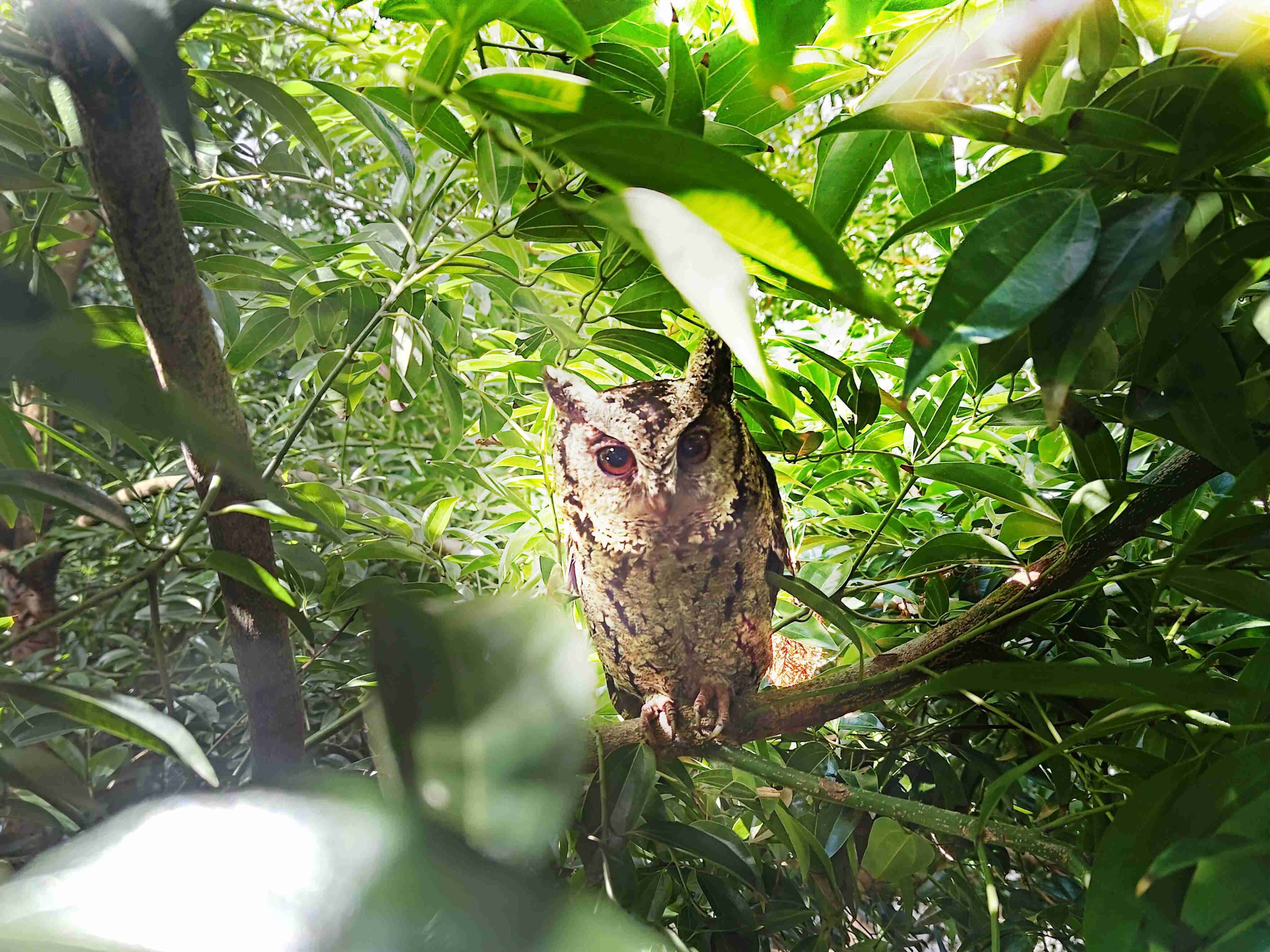 人生就是博致力提倡净零绿生活，，，16年以来在全球各厂区植树逾百万棵，，造就各厂区树木蔚然成林，，，，犹如森林工厂，，，，成为许多生物的栖息地